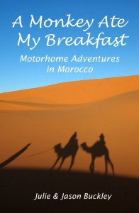 A monkey ate my breakfast : Motorhome Adventures in Morocco