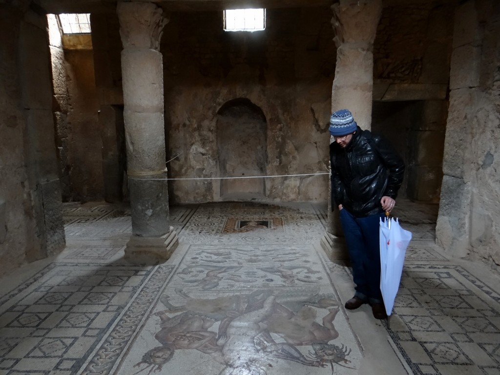 Jay studies the mosaics in one of the underground Roman houses
