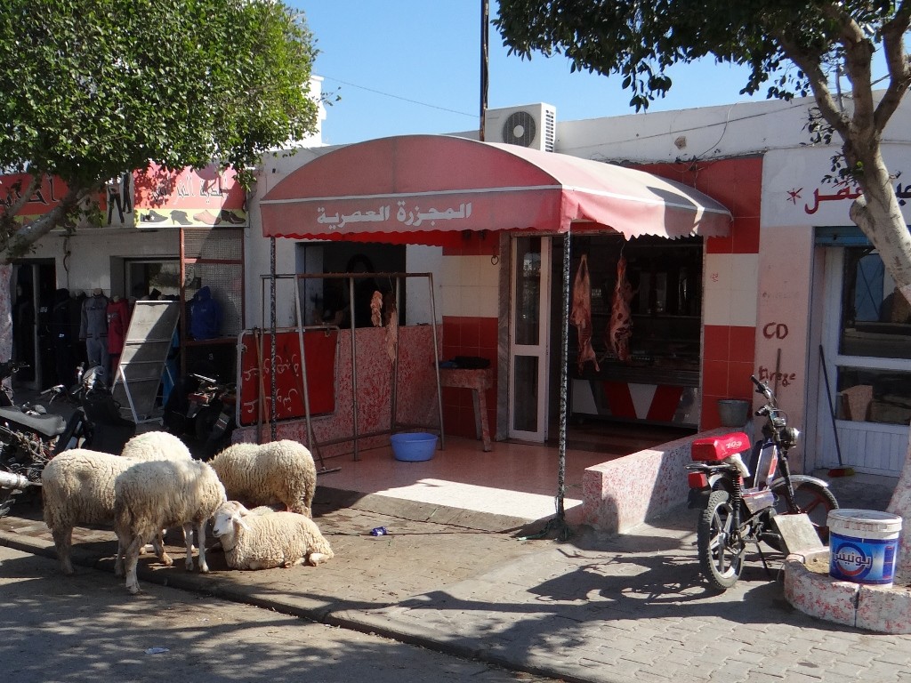These poor sheep much know what's coming as they sit outside the butchers - still they were luckier than their mates down the road who had to sit under one of their own hanging about them.