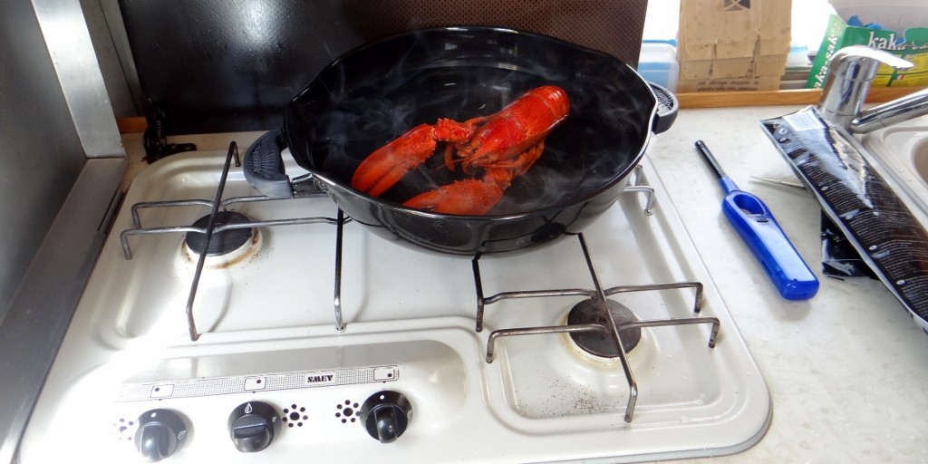 Lidl lobster - €7 of pre-cooked luxury (once the dog slobber has been washed off!)