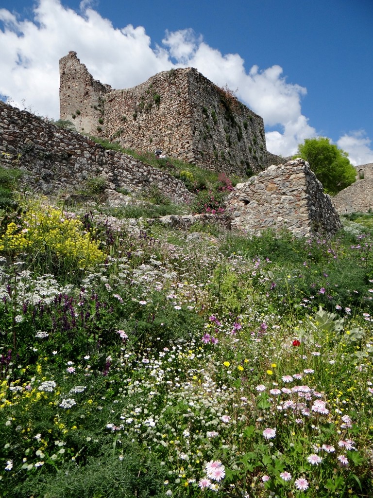 Walking through the castle grounds was like wandering through a meadow - albeit a sloping one!