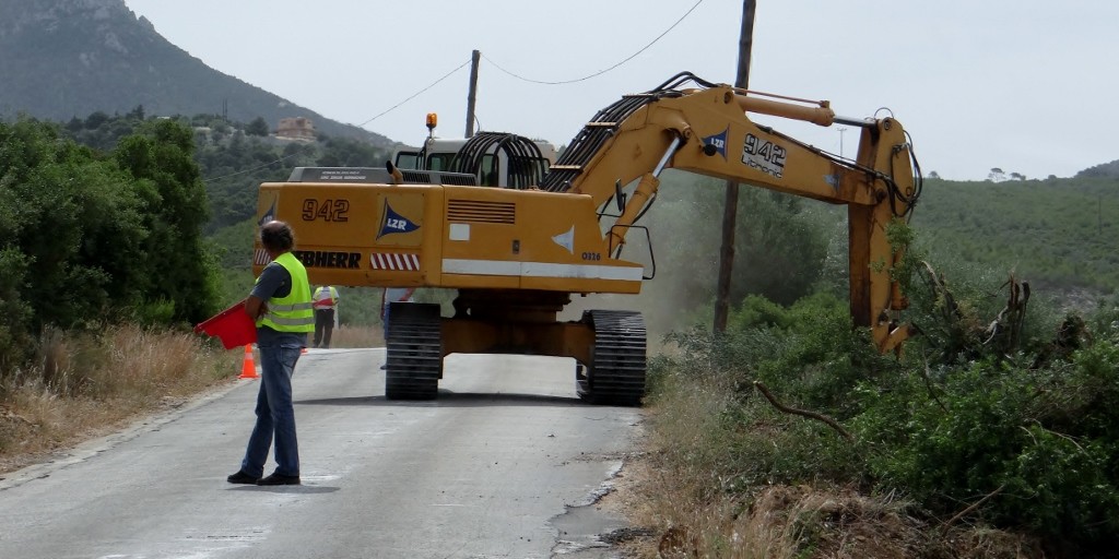 Our path was blocked this morning by these fellas pulling up olive trees ready for road widening