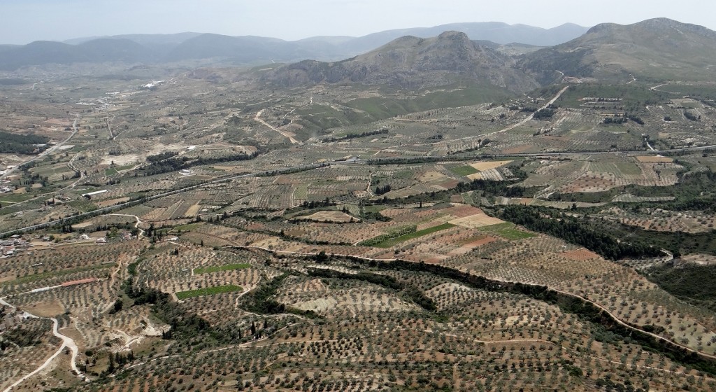 Olive trees dotted across the countryside like cloves in an orange, and through the middle of it that dreaded motorway!