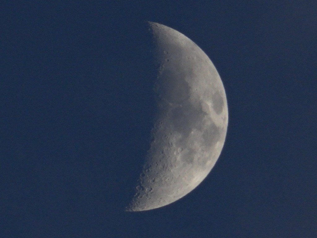 Last nights moon in a perfectly clear sky.