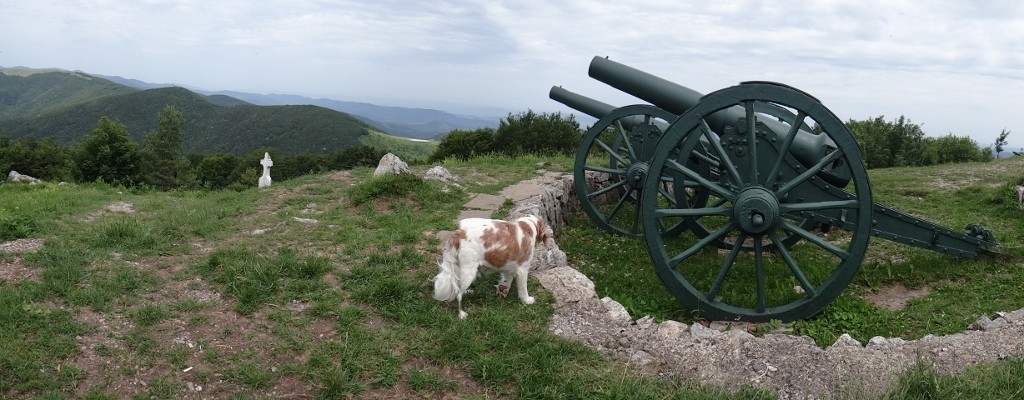 Charlie explores the cannons