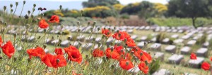 Cemeteries for ANZAC troops in Gallipoli