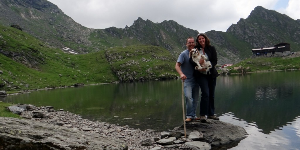 Standing on a rock in Balea Lake, Charlie wasn't very impressed.