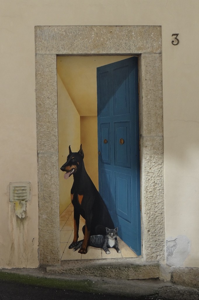 Cat-dog harmony in San Marino. Wait a minute!