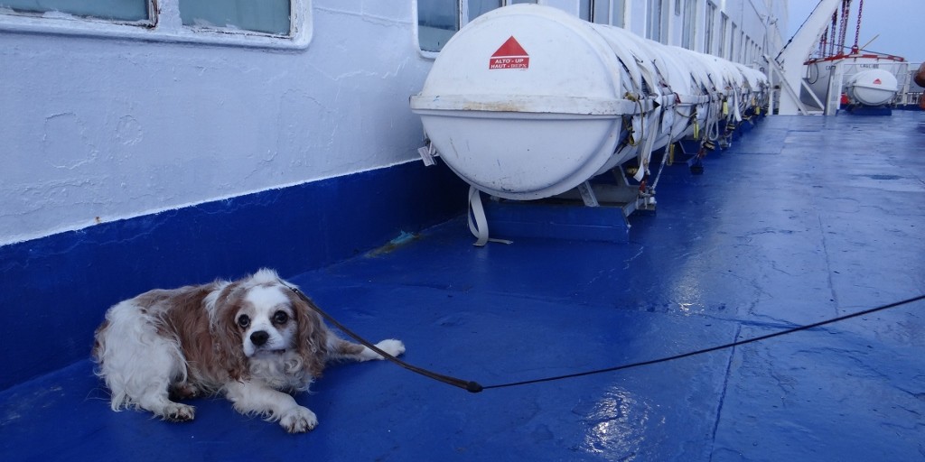 Charlie wasn't a big fan of the ferry either, convinced it was some sort of harbinger of doom