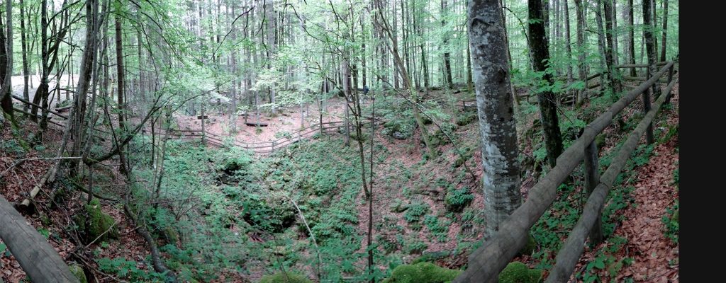 The Kren burial pit, Kočevski Rog, Slovenia