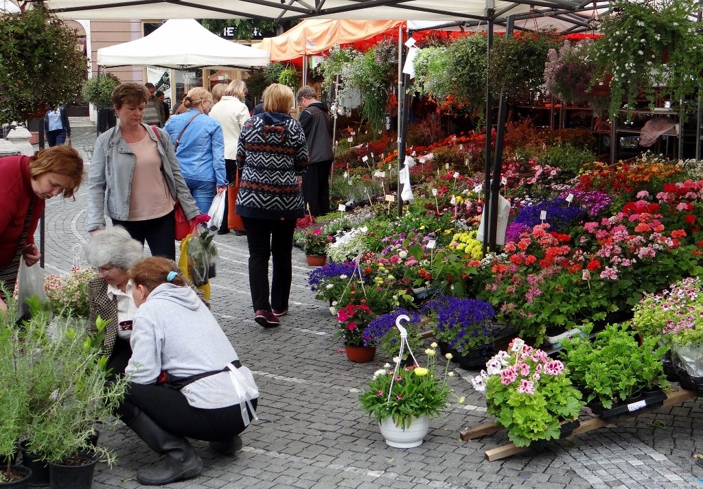 Flower Stall Trnava Slovakia