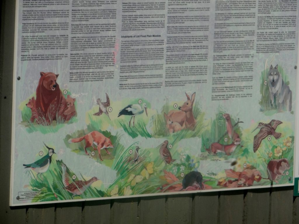 Information board Soomaa National Park
