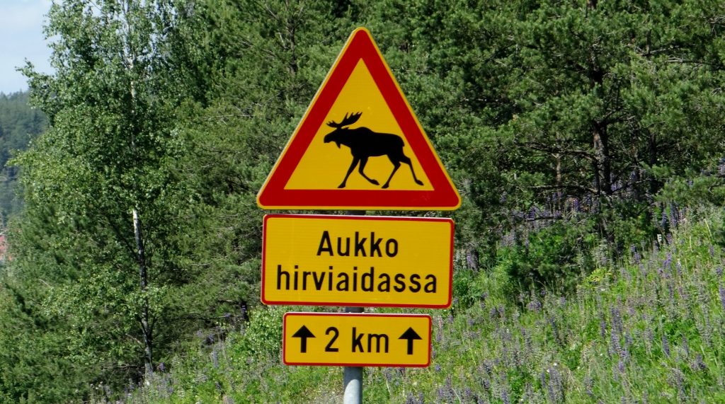 More moose-taunting signs. They might as well have signs warning that Sauron The Dark Lord might be crossing the road somewhere ahead