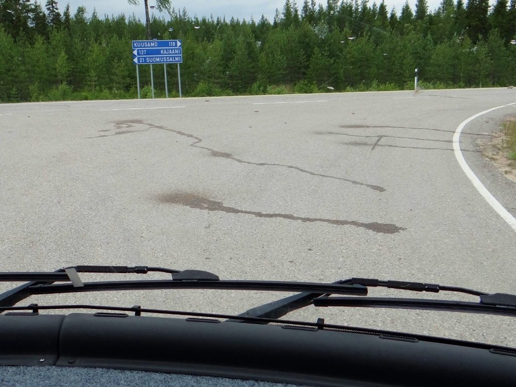 Reindeer wee on road Finland