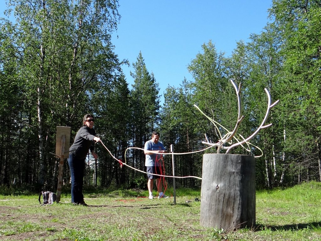 reindeer lasso