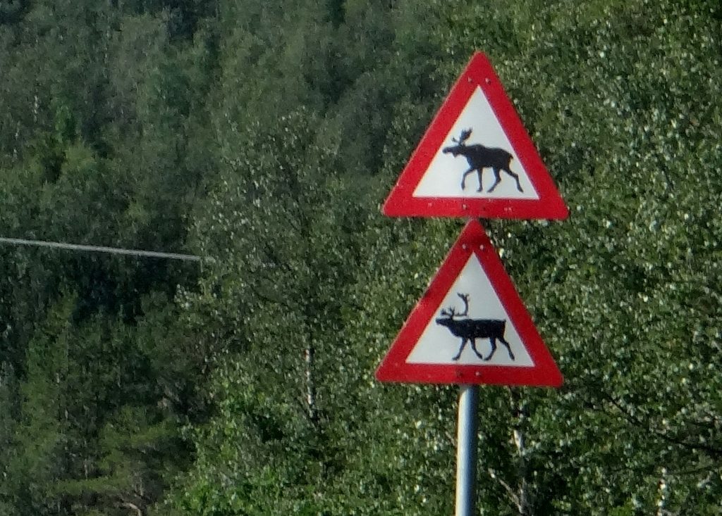 Reindeer and Moose road signs