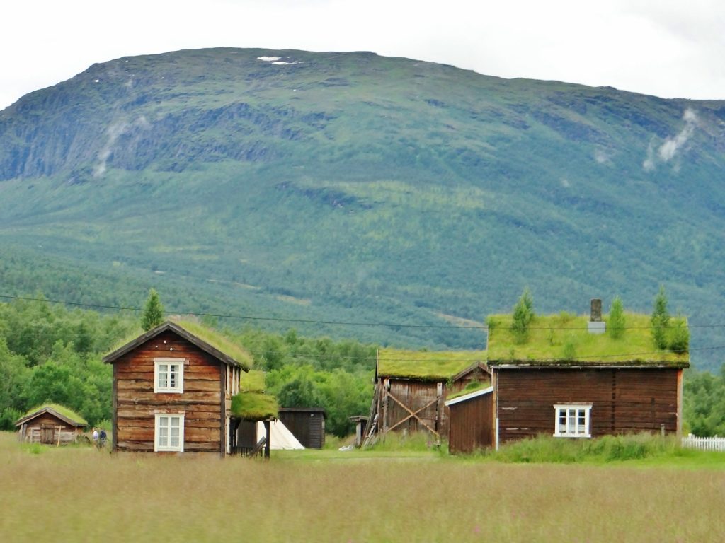 Turf roof houses Norway