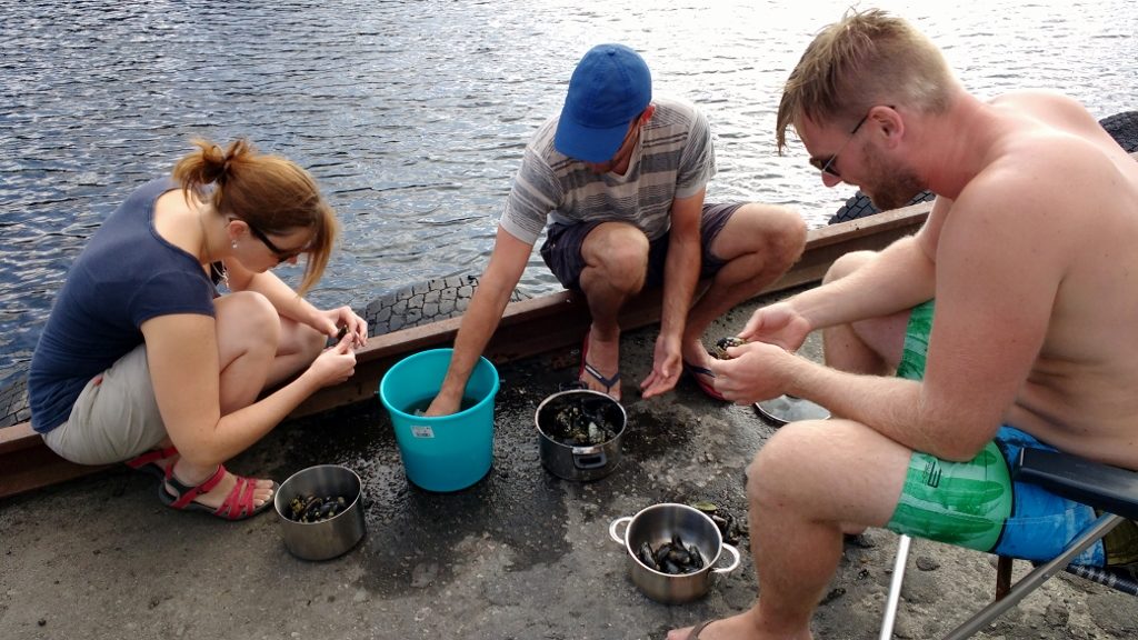 We stopped collecting at a bucketful, but there were countless thousands of mussels 2m down and 2m out to sea. We joked that in France the sea would have been picked clean