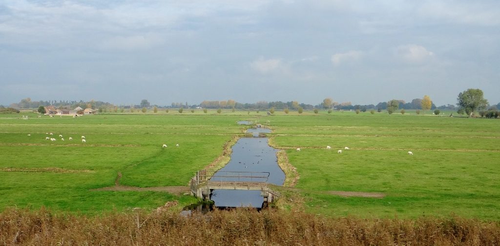 How to tell we're in The Netherlands Part 1 - Water filled ditches across the fields