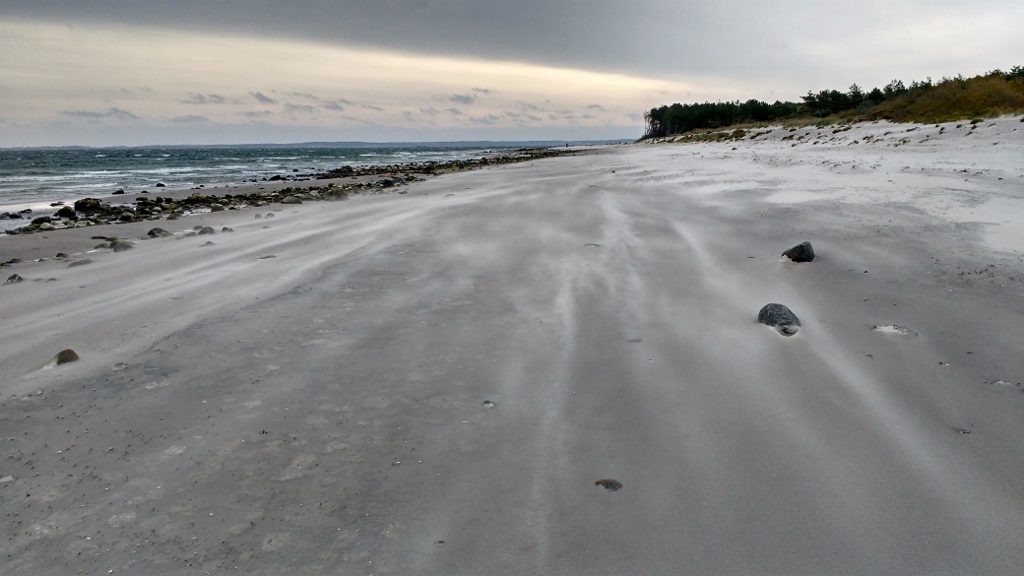 Blown sand in North Zealand