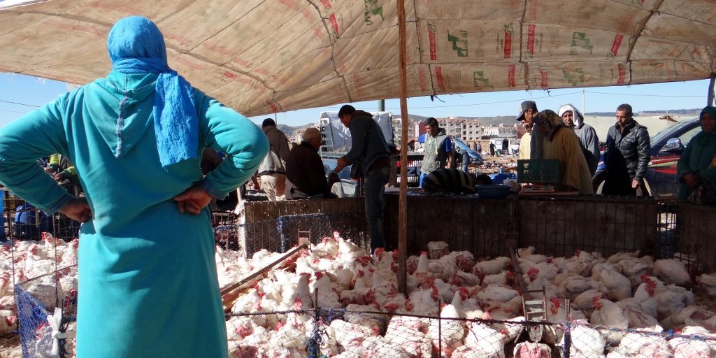 Azrou Market, Morocco