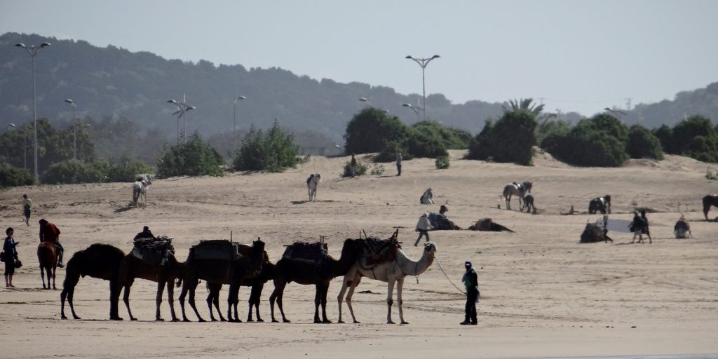 Camel, horse and 4x4 rides all available on Essaouira beach