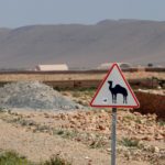 You can't beat a camel warning sign. No, we didn't see any actual camels