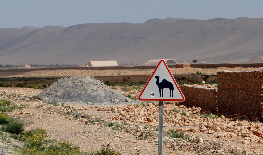 You can't beat a camel warning sign. No, we didn't see any actual camels
