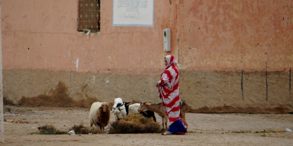 A Moroccan lady and her animals