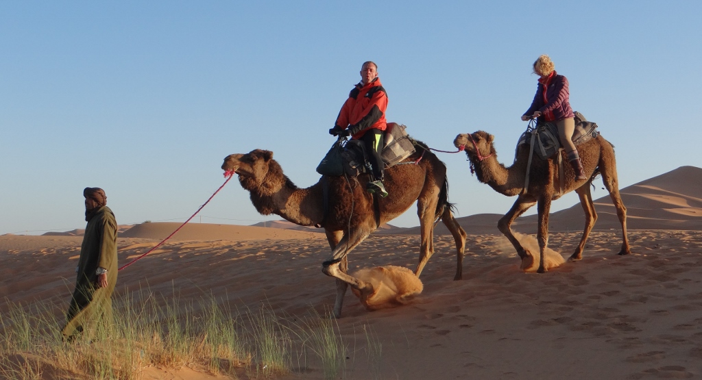 Going downhill on a camel: remember to lean well backwards!