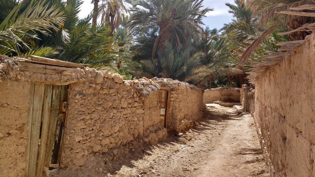 Mud and stone walls in the Icht oasis