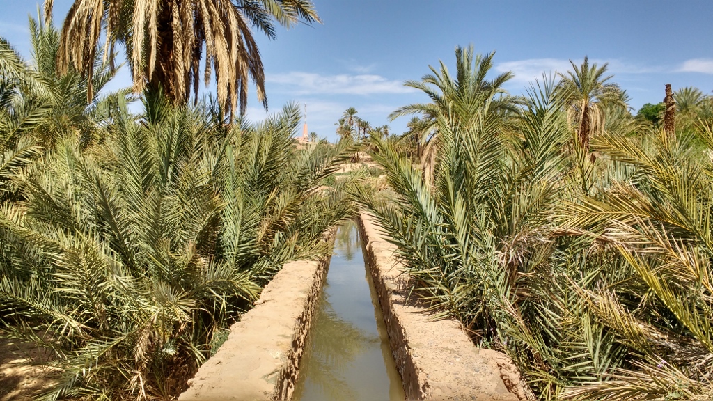 Irrigation in the Tata oasis