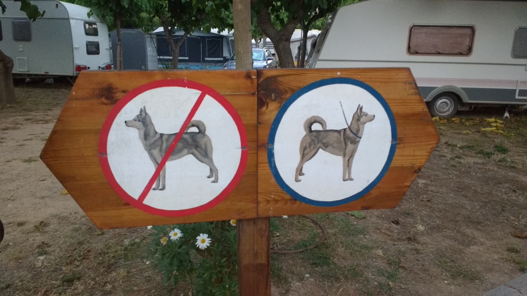 Campsite sign divides it into dogs and no dogs