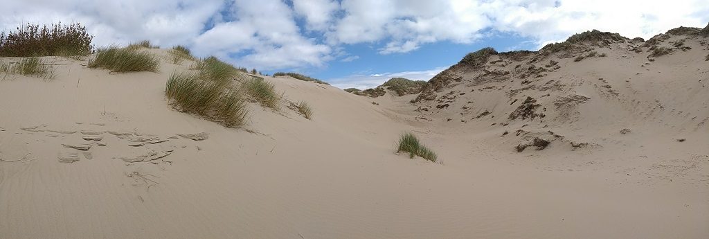 The dune stood between us and the English Channel