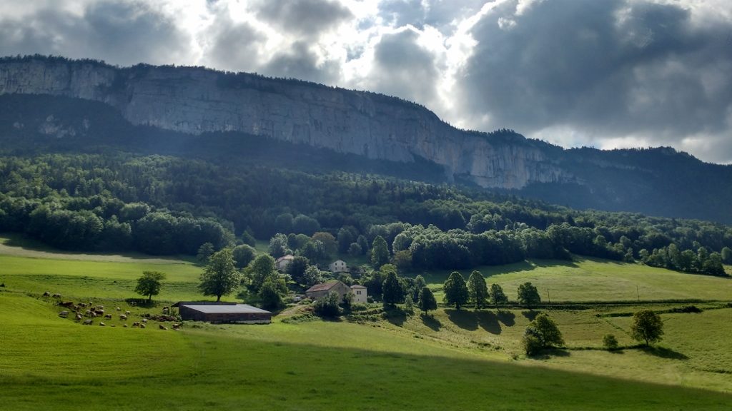 Meadows of the Vercors