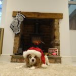 He enjoyed the fire, if not the hat, in our newly-renovated lounge in 2014