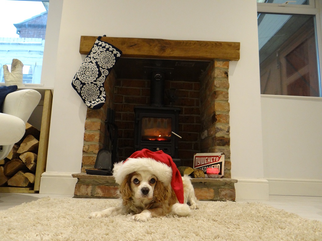 He enjoyed the fire, if not the hat, in our newly-renovated lounge in 2014