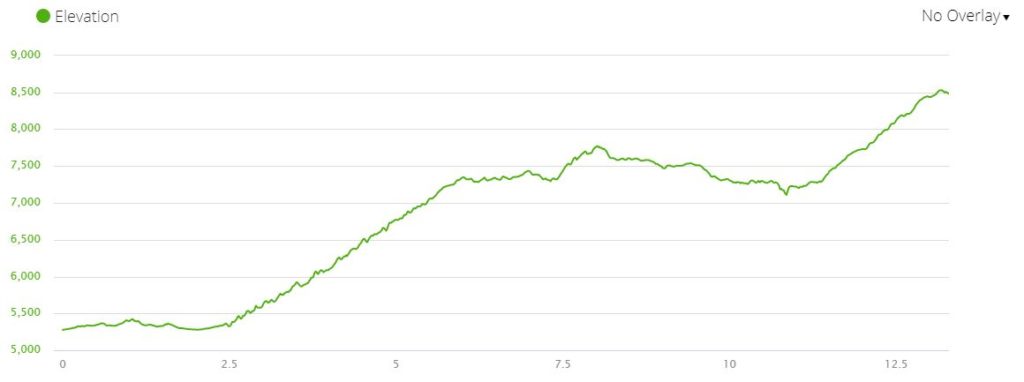 The Zermatt Half Marathon profile: a bit hilly.