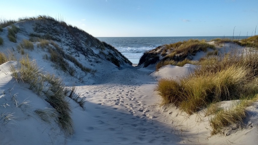 The beautiful dunes overlooking the channel at Stella Plage.