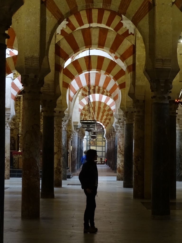 A Final Shot of the Famous Arches in the Mezquita