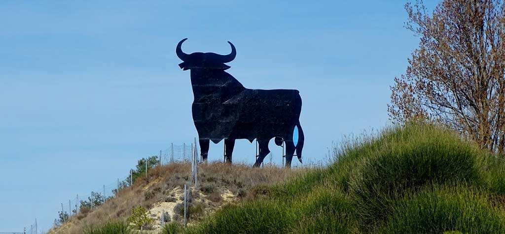 Spain bull roadside