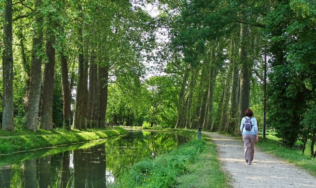 Canal side walk in Mehun-sur-Yevre, France