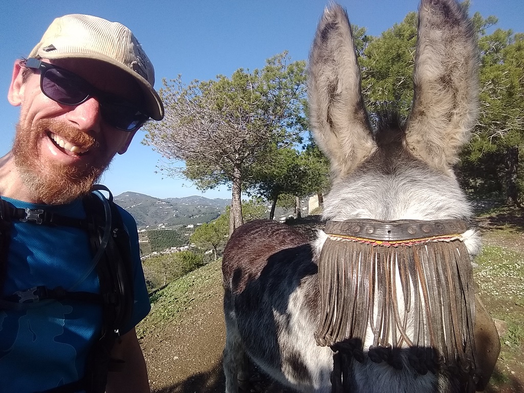A friendly donkey at Frigiliana