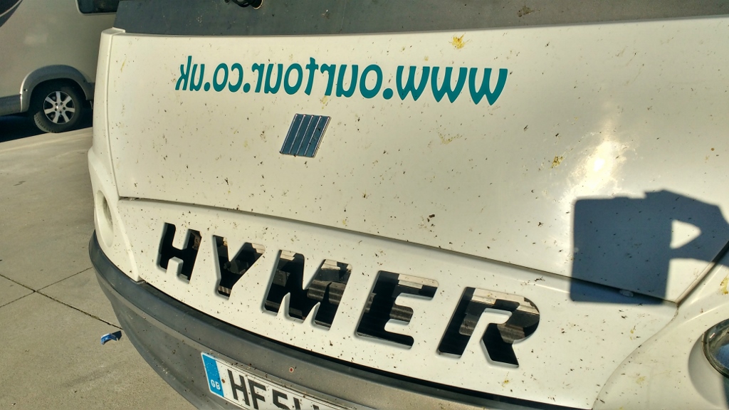 insects on motorhome