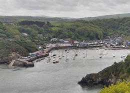 Lower Town Fishguard harbour