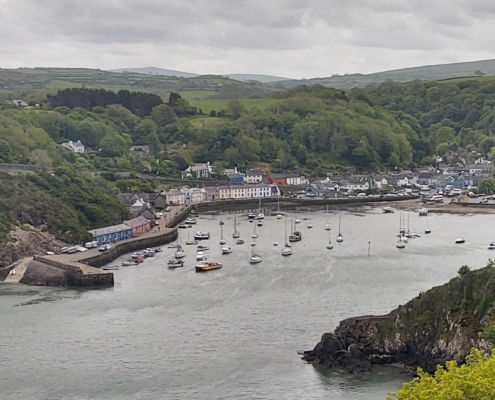 Lower Town Fishguard harbour