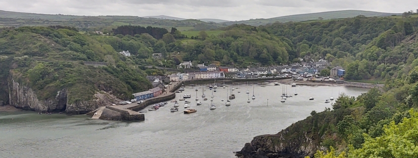Lower Town Fishguard harbour