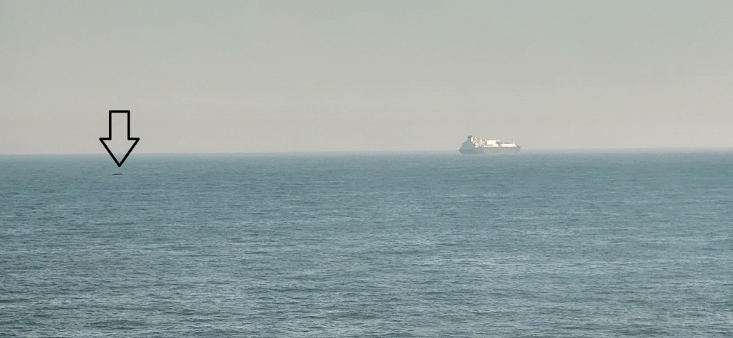 We're not sure, but this looked like a rubber dingy half way across the Channel