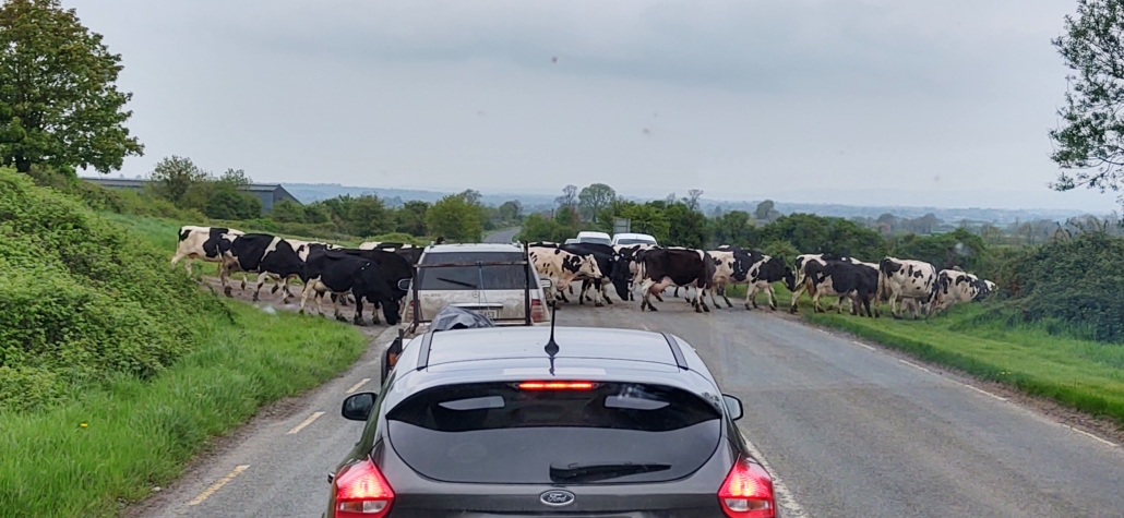 Traffic Jam in Ireland