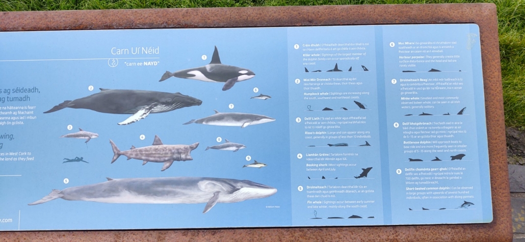 Sign at Mizen Head showing the whales and dolphins which are seen from here.